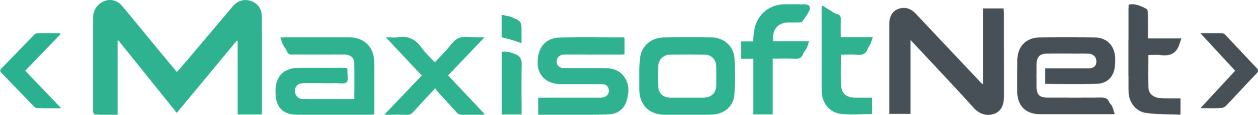 logo_maxisoftnet